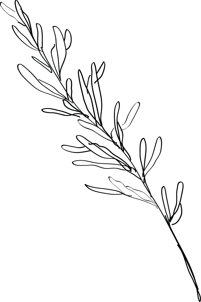 Fleur 1