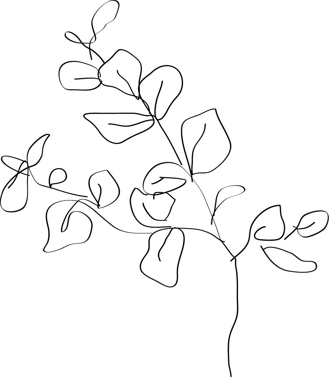 Fleur 2
